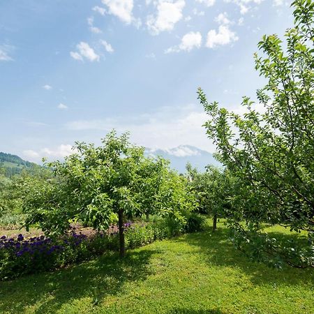 Apartmaji Trentelj Bled Kültér fotó